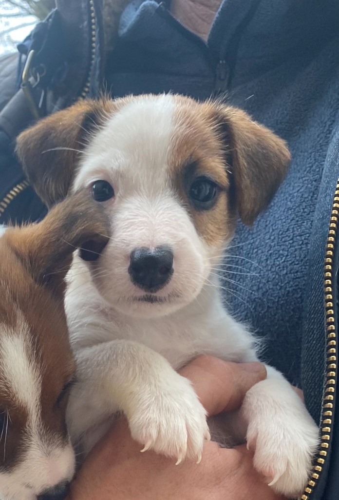 SUPERBE MALE DISPONIBLE